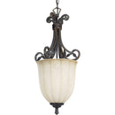 Progress Lighting P3684-84 1-Light Le Jardin Inverted Bowl, Espresso