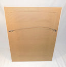 USED: A BEAUTIFUL FRAMED & MATTED SECRETARIAT PHOTO