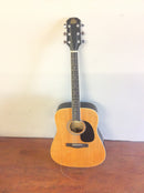 Rogue acoustic guitar rd80 w/stand