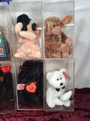 Beanie Baby Collection (please look at pictures) - 13 of them!!!