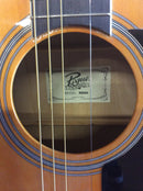 Rogue acoustic guitar rd80 w/stand