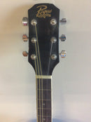 Rogue acoustic guitar rd80 w/stand