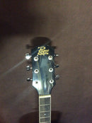 Rogue acoustic guitar rd80 w/stand