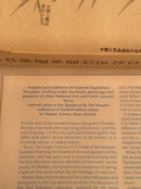 Zhao Huimin plate